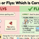 Flies or Flys: Which Is Correct?