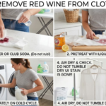 How to Remove Red Wine from Clothes Fast
