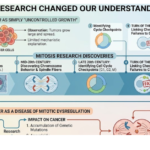 How Mitosis Research Changed Our Understanding of Cancer