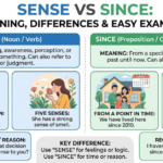Sense vs Since: Meaning, Differences & Easy Examples