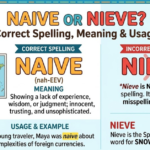Naive or Nieve: Correct Spelling, Meaning & Usage