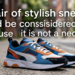 A Pair of Stylish Sneakers Could Be Considered a Want Because It Is Not a Necessity