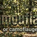 Camouflage or Camoflauge: Which One Is Correct?
